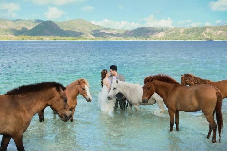 SnapInsta.to_528036091_18396907399141206_1622393804501374814_n Image description